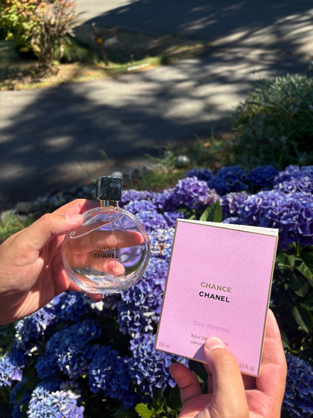 Chanel Chance Tendre